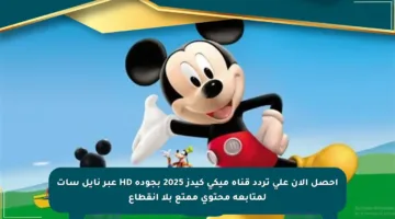 احصل الآن على تردد قناة ميكي كيدز 2025 بجودة HD عبر نايل سات لمتابعة محتوى ممتع بلا انقطاع